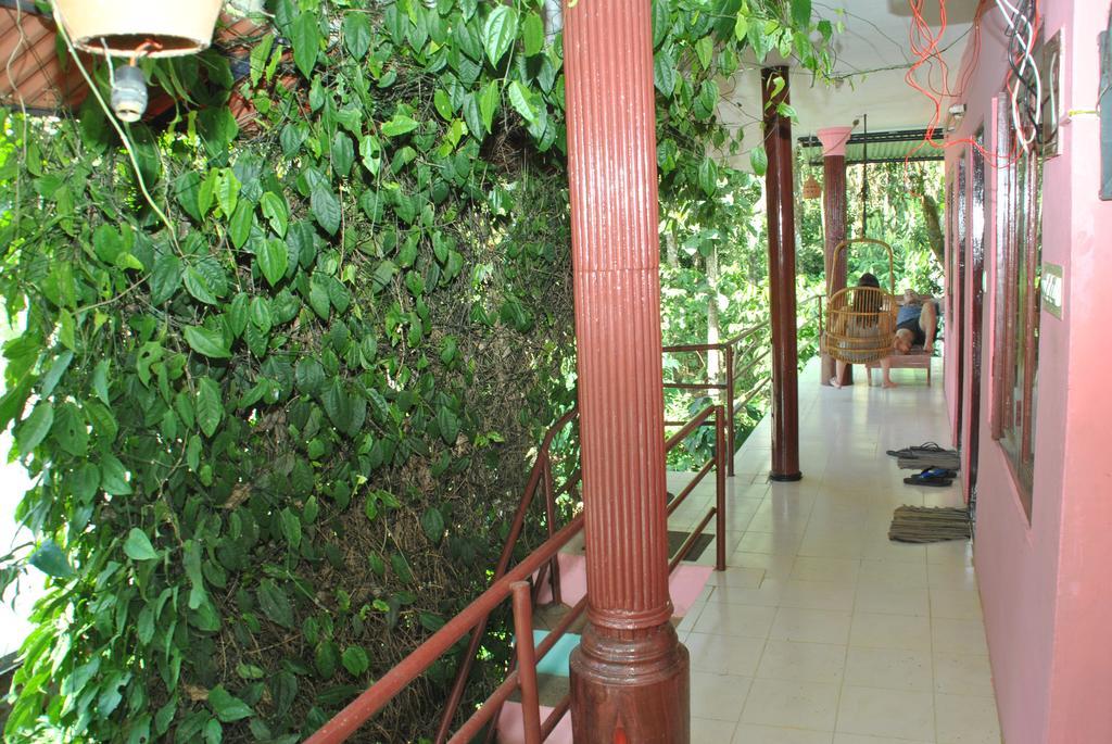 Jungleparadiso Homestay Thekkady Buitenkant foto