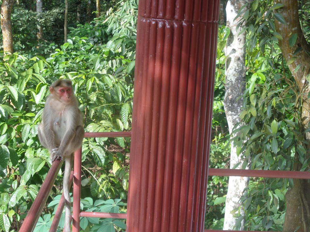 Jungleparadiso Homestay Thekkady Buitenkant foto