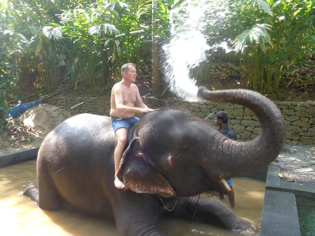 Jungleparadiso Homestay Thekkady Buitenkant foto
