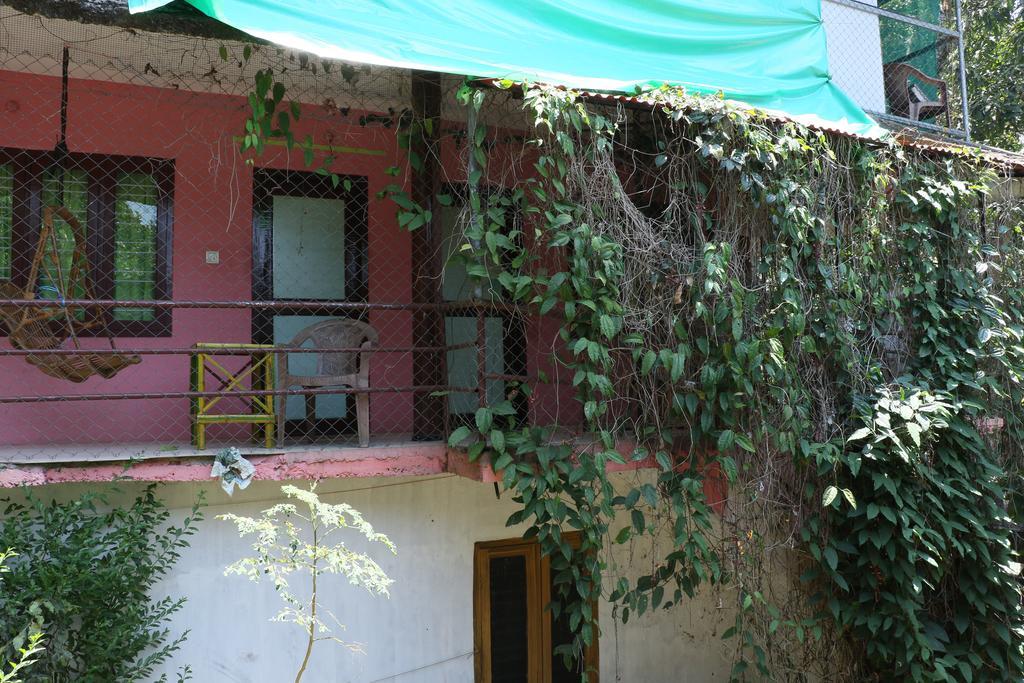 Jungleparadiso Homestay Thekkady Buitenkant foto