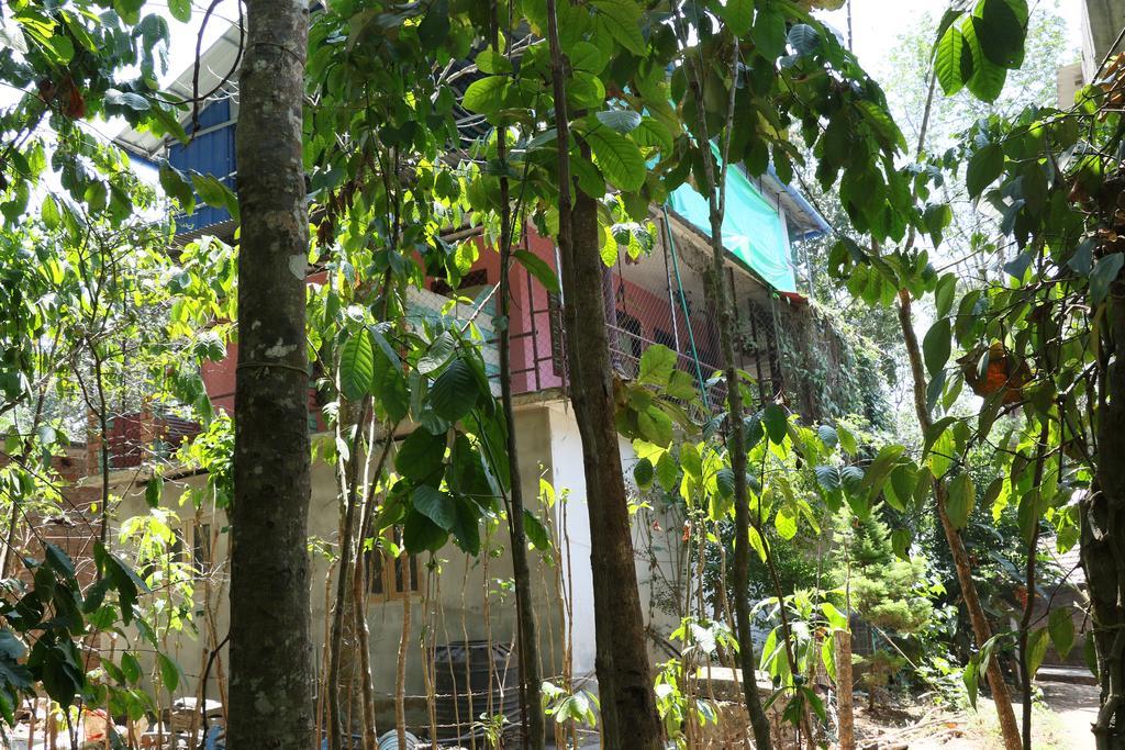 Jungleparadiso Homestay Thekkady Buitenkant foto