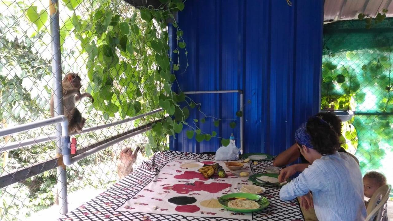 Jungleparadiso Homestay Thekkady Buitenkant foto
